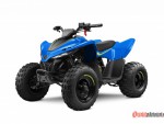 CF moto gladiator X110